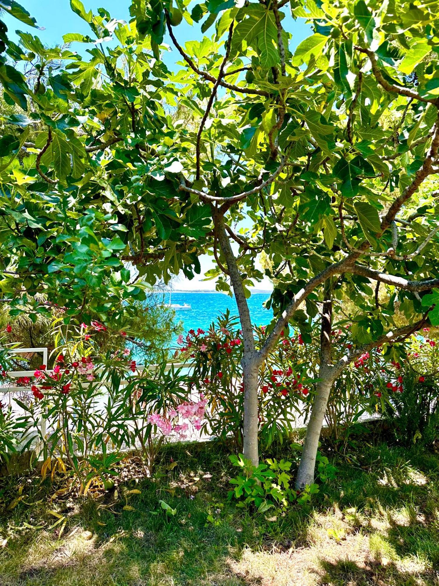 Villa Perla & Palma Zaboric Exterior foto
